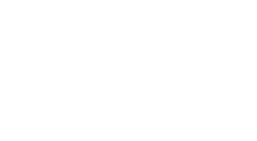 BDR-Secondary-Logo-White